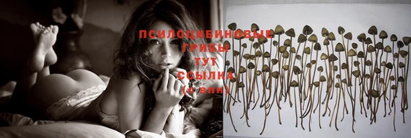 спайс Арсеньев