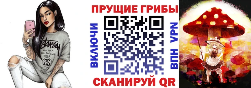 omg tor  что такое наркотик  Пугачёв  Псилоцибиновые грибы Psilocybine cubensis 